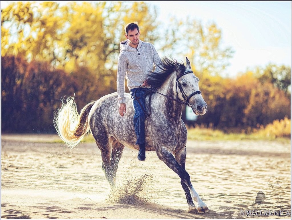 Андрей Гельберг