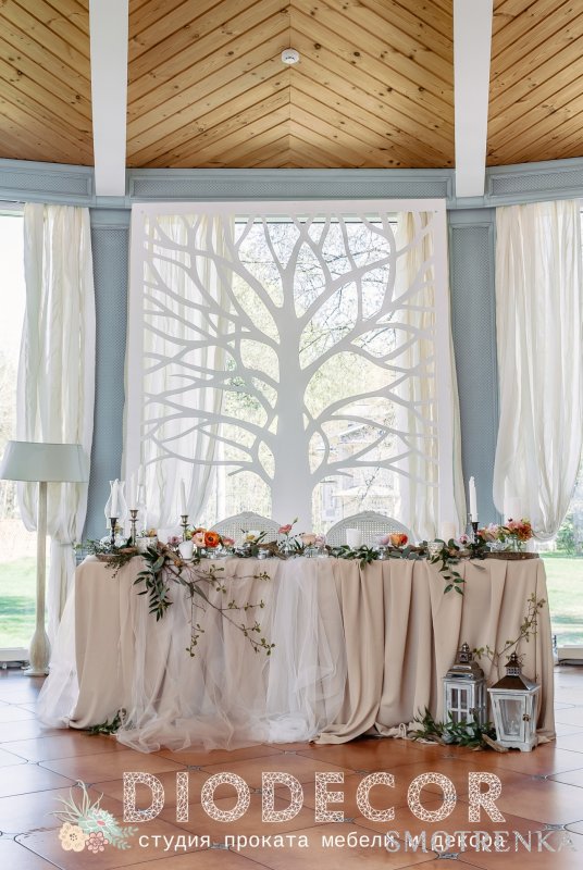 DioDecor студия проката декораций и фото