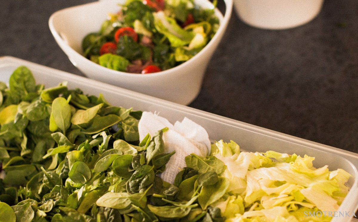 Morozov catering