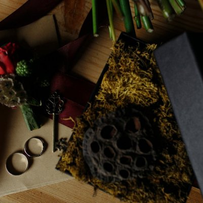 teplitsa wedding