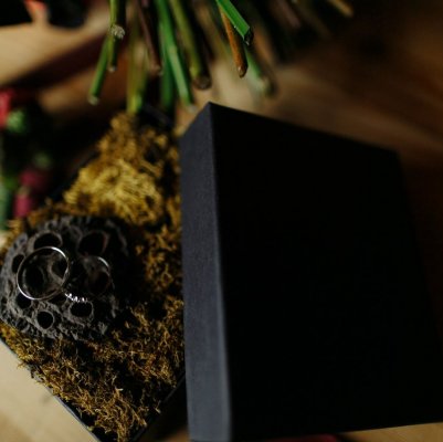 teplitsa wedding