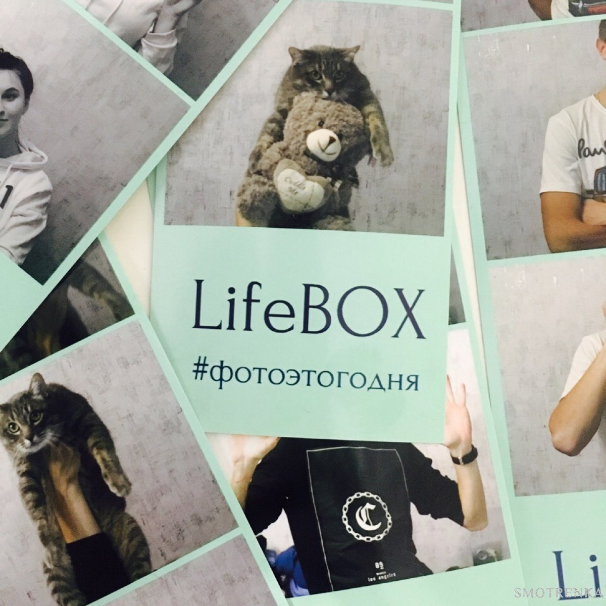 LifeBox