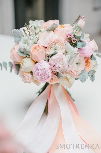 Oh My Flowers