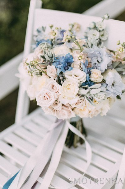 Oh My Flowers