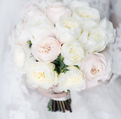 Oh My Flowers