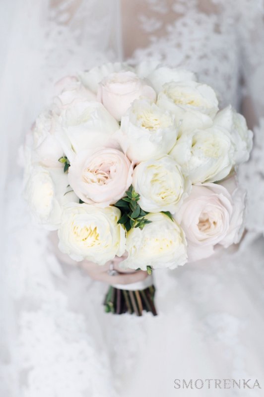 Oh My Flowers