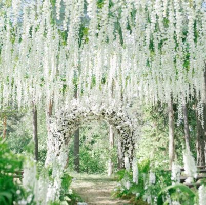 Oh My Flowers