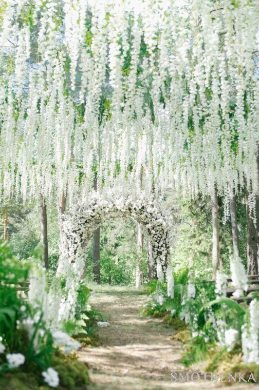 Oh My Flowers