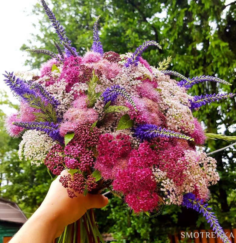 Студия Флористики и Декора Belle Fleur