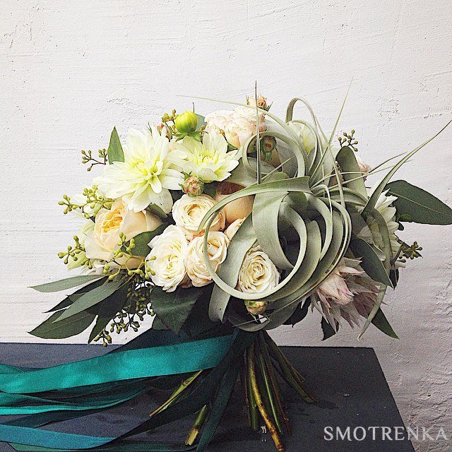 Botanica Decor