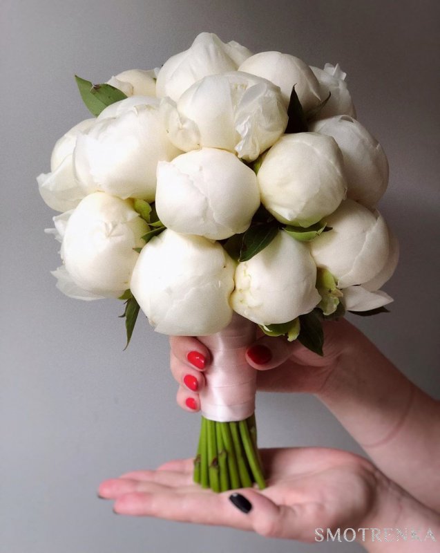 KORA FLOWERS