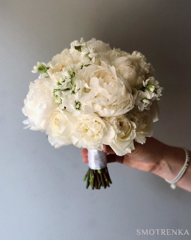 KORA FLOWERS
