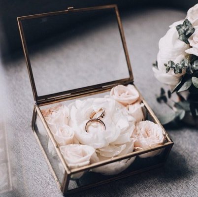 Honey Tree Decor Studio