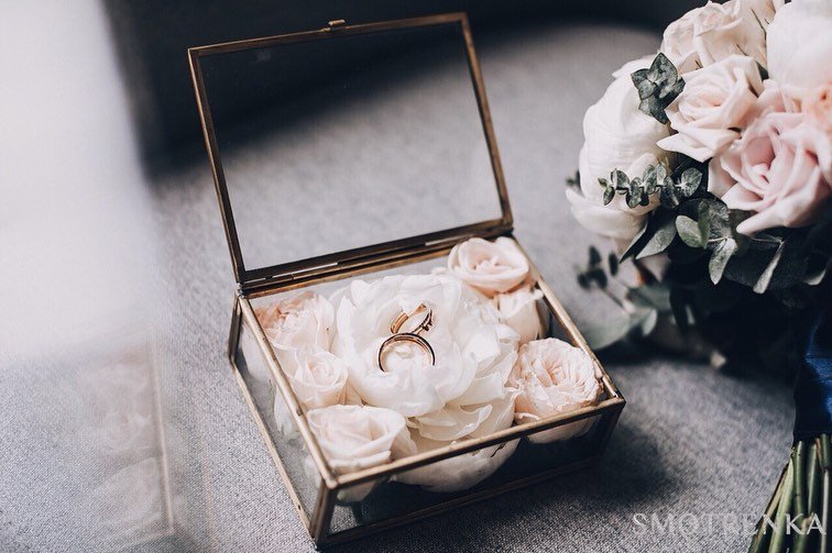 Honey Tree Decor Studio