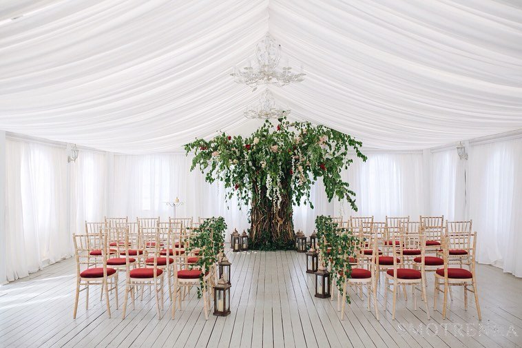 Honey Tree Decor Studio