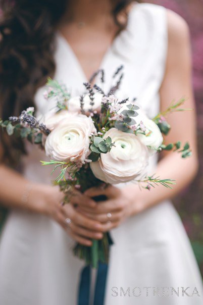 Honey Tree Decor Studio
