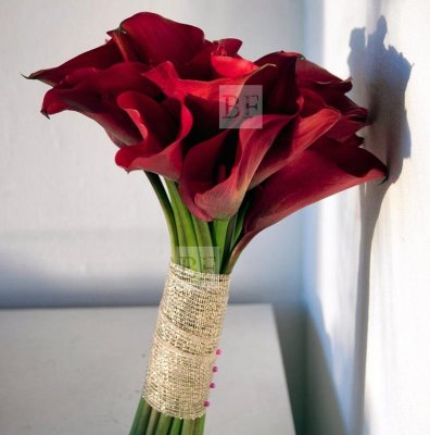 Bestfleur