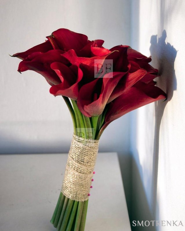 Bestfleur