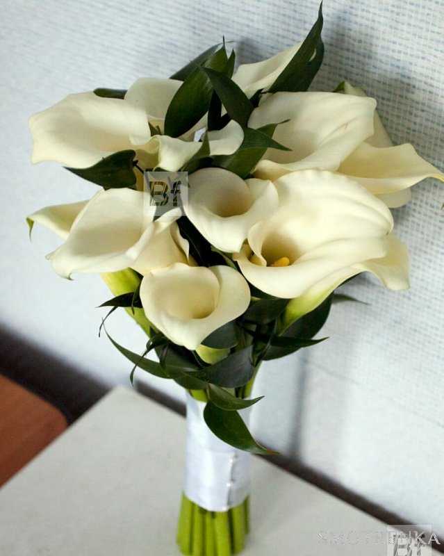 Bestfleur