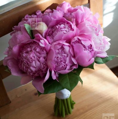 Bestfleur